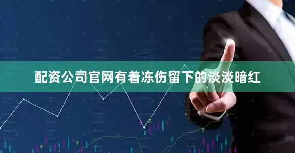 配资公司官网有着冻伤留下的淡淡暗红