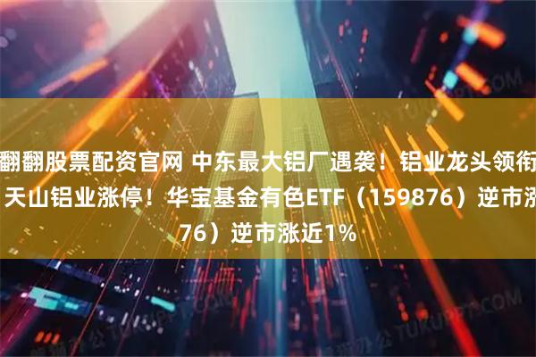 翻翻股票配资官网 中东最大铝厂遇袭!铝业龙头领衔飙升,天山铝业涨停!华宝基金有色ETF(159876)逆市涨近1%