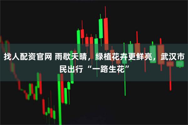 找人配资官网 雨歇天晴，绿植花卉更鲜亮，武汉市民出行 “一路生花”