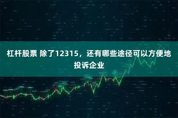 杠杆股票 除了12315，还有哪些途径可以方便地投诉企业
